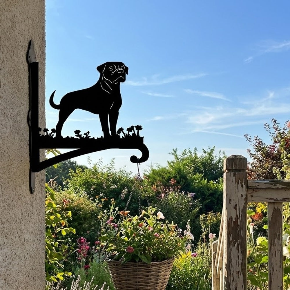Rottweiler metal hanging basket bracket mounted on outdoor wall for plant decoration