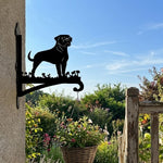 Rottweiler metal hanging basket bracket mounted on outdoor wall for plant decoration