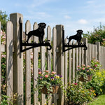 Rottweiler metal hanging basket bracket mounted on outdoor wall for plant decoration