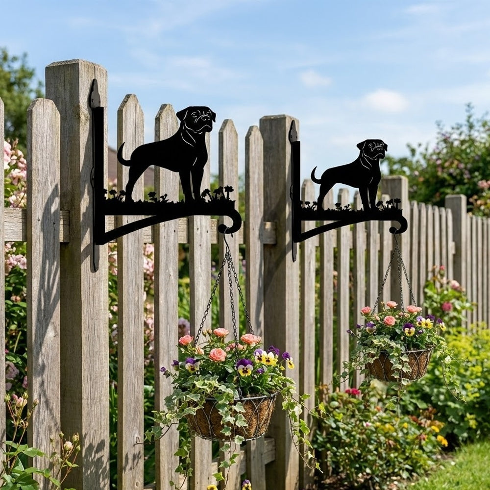 Rottweiler metal hanging basket bracket mounted on outdoor wall for plant decoration