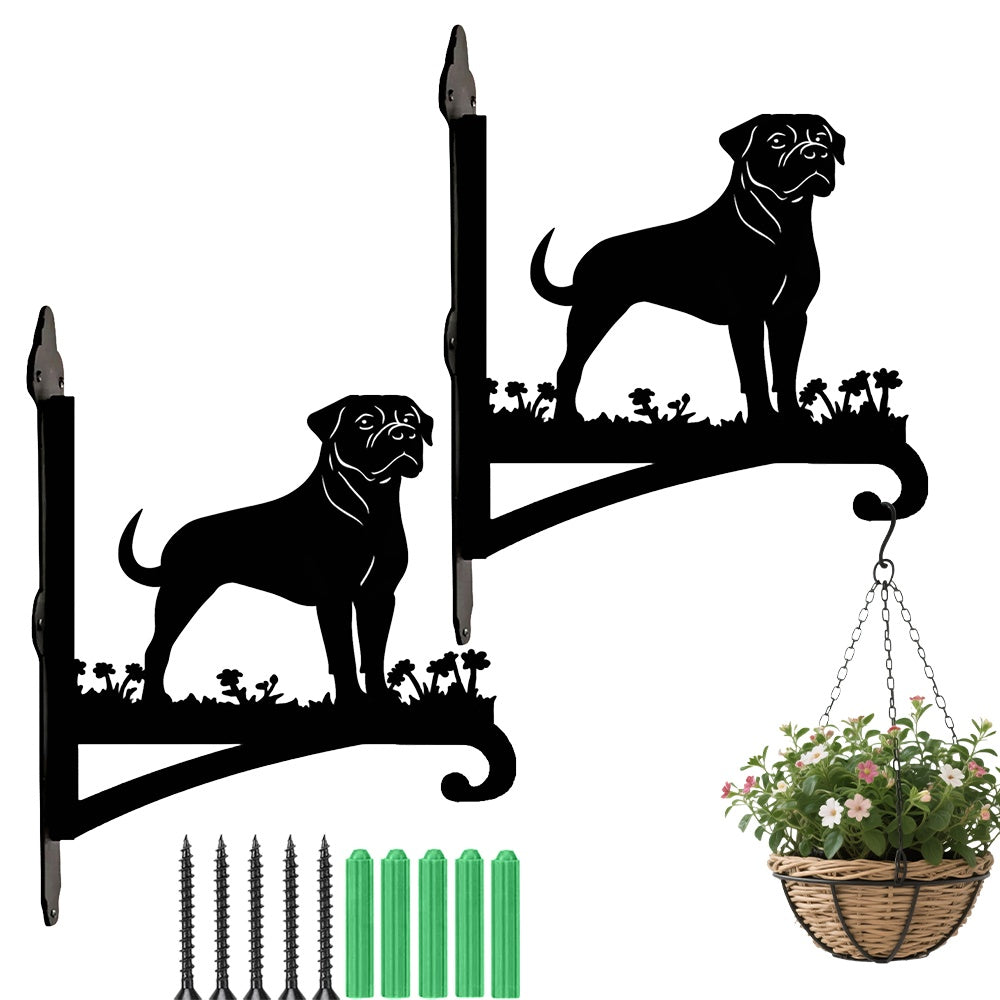 Rottweiler metal hanging basket bracket mounted on outdoor wall for plant decoration