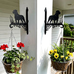Rottweiler metal hanging basket bracket mounted on outdoor wall for plant decoration