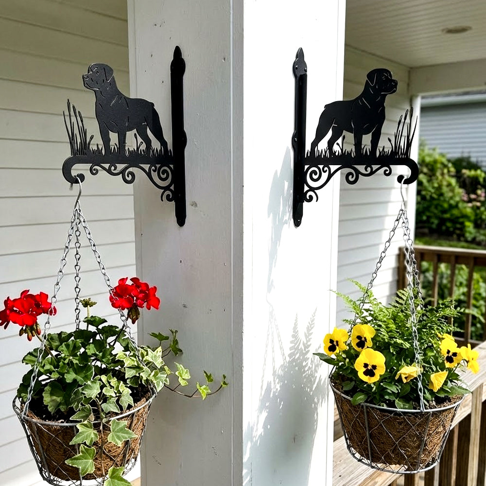 Rottweiler metal hanging basket bracket mounted on outdoor wall for plant decoration