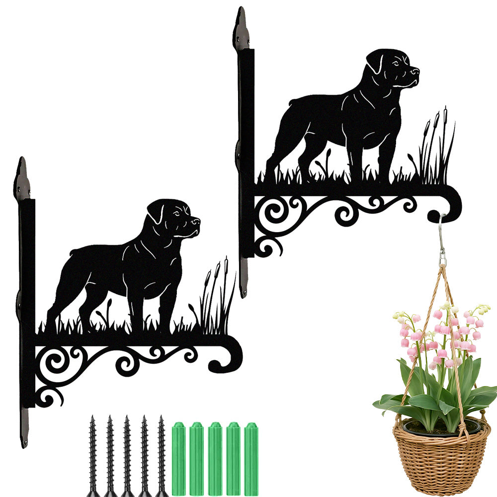 Rottweiler metal hanging basket bracket mounted on outdoor wall for plant decoration