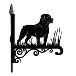 Rottweiler metal hanging basket bracket mounted on outdoor wall for plant decoration