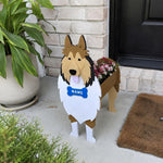 Rough Collie dog planter filled with fresh flowers is placed in the garden