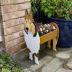 Rough Collie dog planter filled with fresh flowers is placed in the garden
