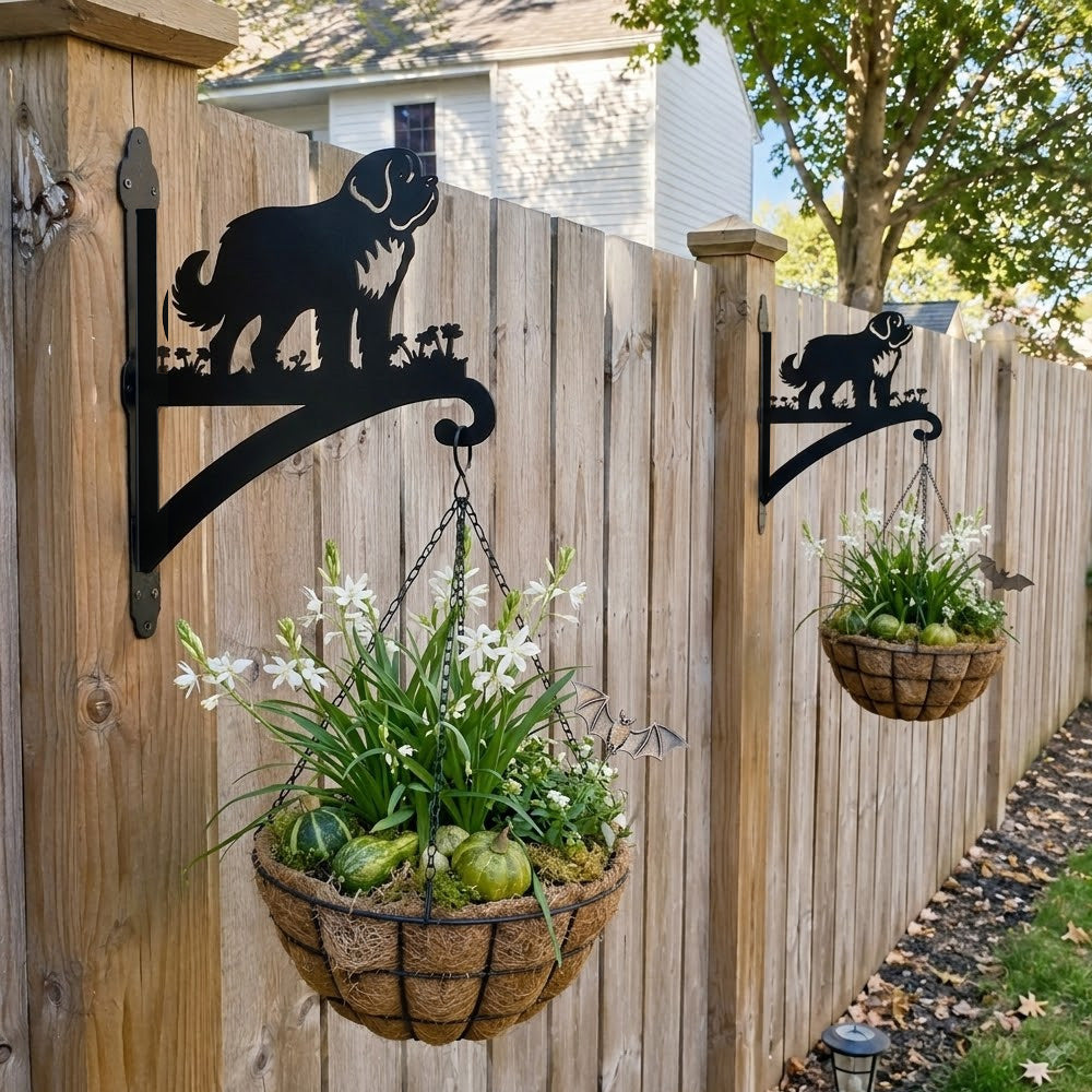 Saint bernard metal hanging basket bracket mounted on outdoor wall for plant decoration