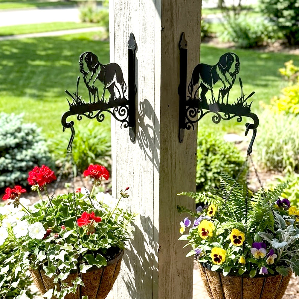 Saint bernard metal hanging basket bracket mounted on outdoor wall for plant decoration