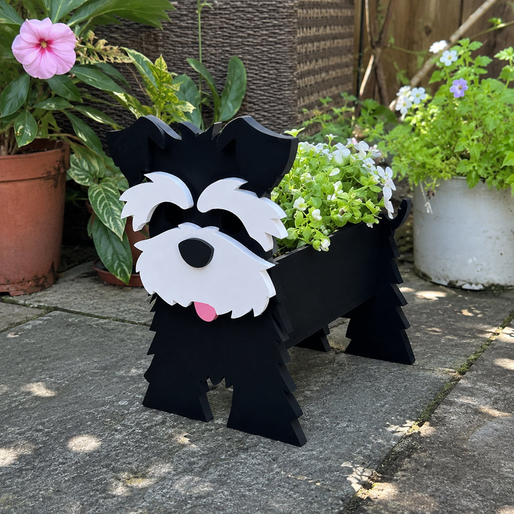 Schnauzer dog planter filled with fresh flowers is placed in the garden