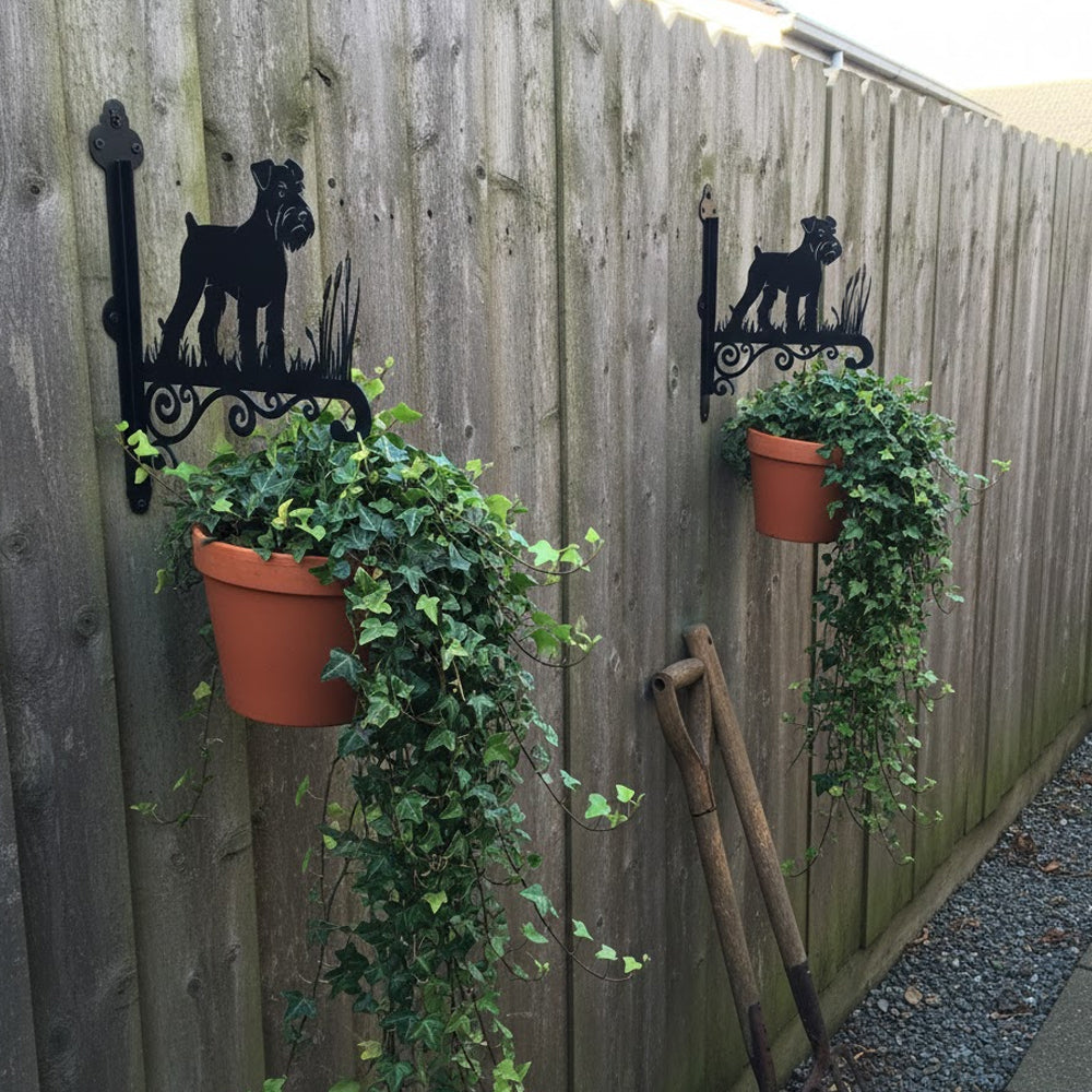 Schnauzer metal hanging basket bracket mounted on outdoor wall for plant decoration
