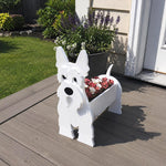 Scottish Terrier dog planter filled with fresh flowers is placed in the garden
