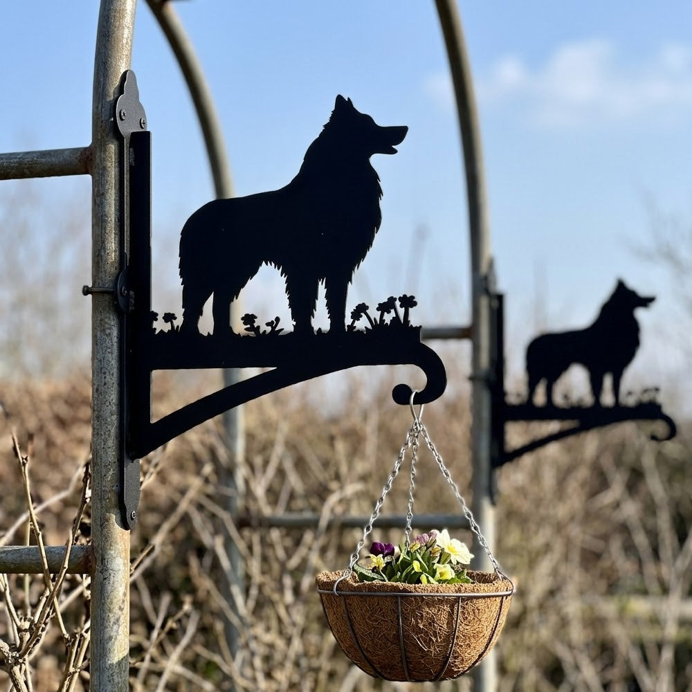 Shetland sheepdog metal hanging basket bracket mounted on outdoor wall for plant decoration