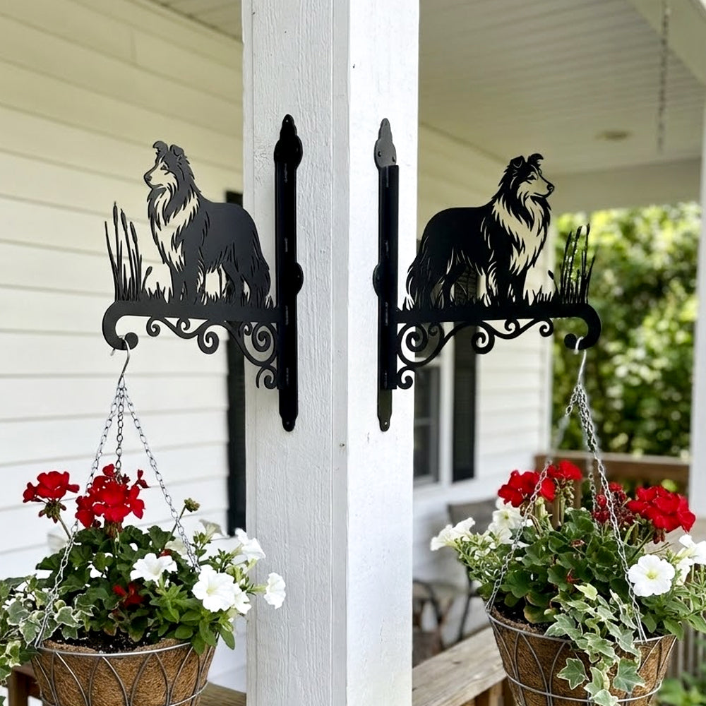 Shetland sheepdog metal hanging basket bracket mounted on outdoor wall for plant decoration
