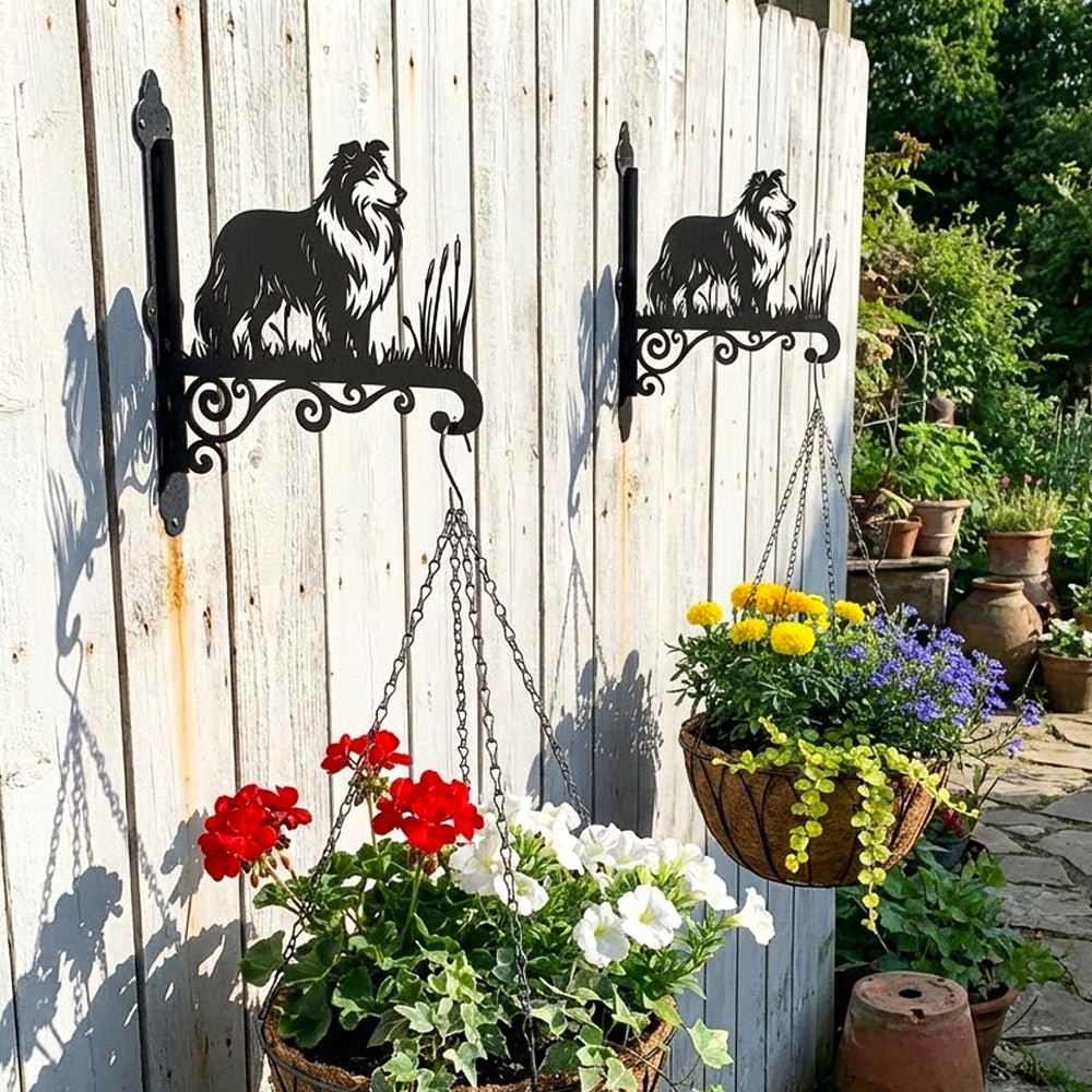 Shetland sheepdog metal hanging basket bracket mounted on outdoor wall for plant decoration