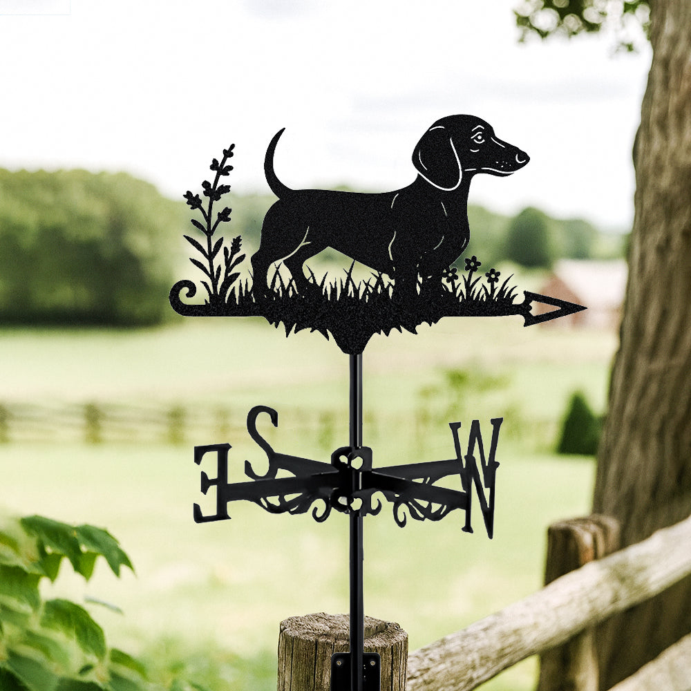 Short Haired Dachshund metal weather vane with directional arrows and mounting rod, outdoor roof and garden decoration