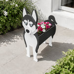 Siberian Husky dog planter filled with fresh flowers is placed in the garden