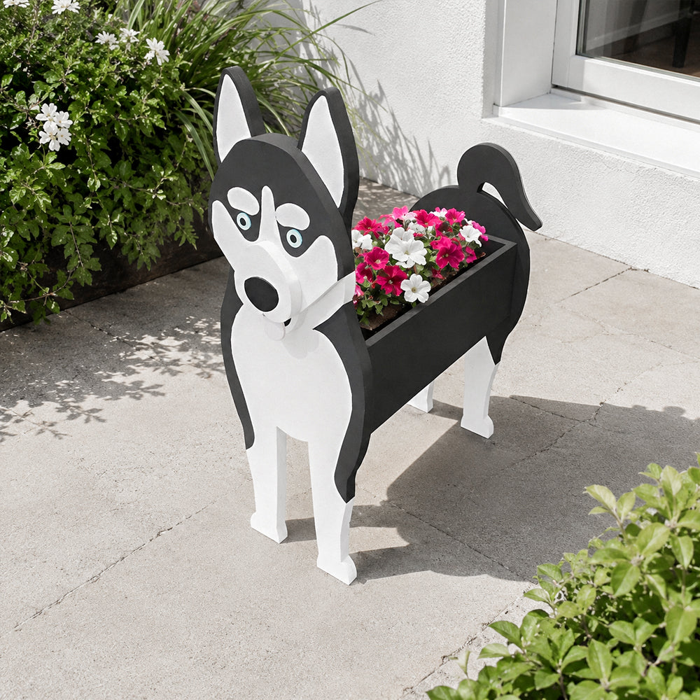 Siberian Husky dog planter filled with fresh flowers is placed in the garden