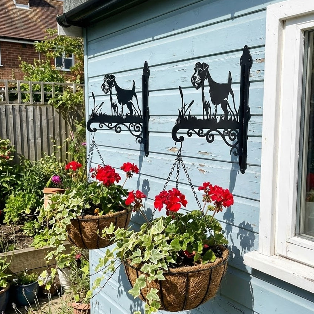 Soft coated wheaten terrier metal hanging basket bracket mounted on outdoor wall for plant decoration