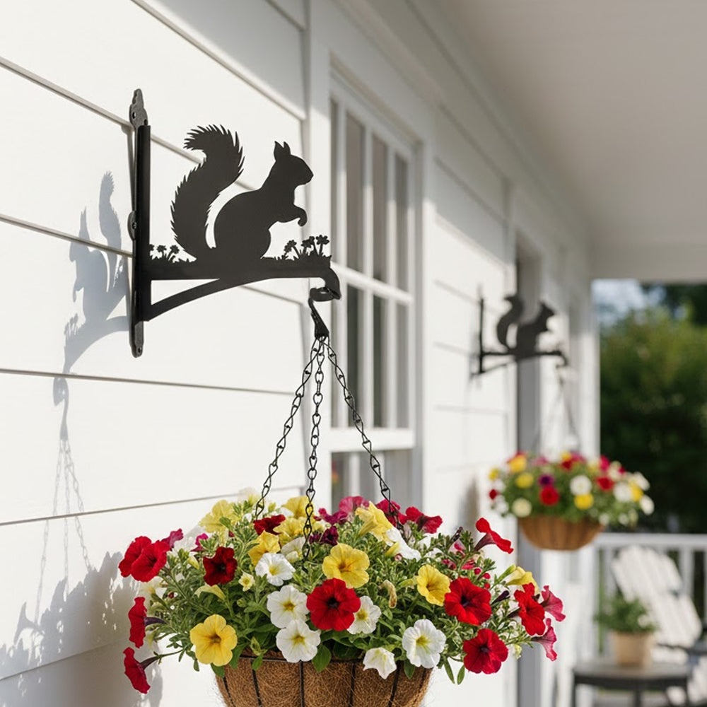 Squirrel metal hanging basket bracket mounted on outdoor wall for plant decoration