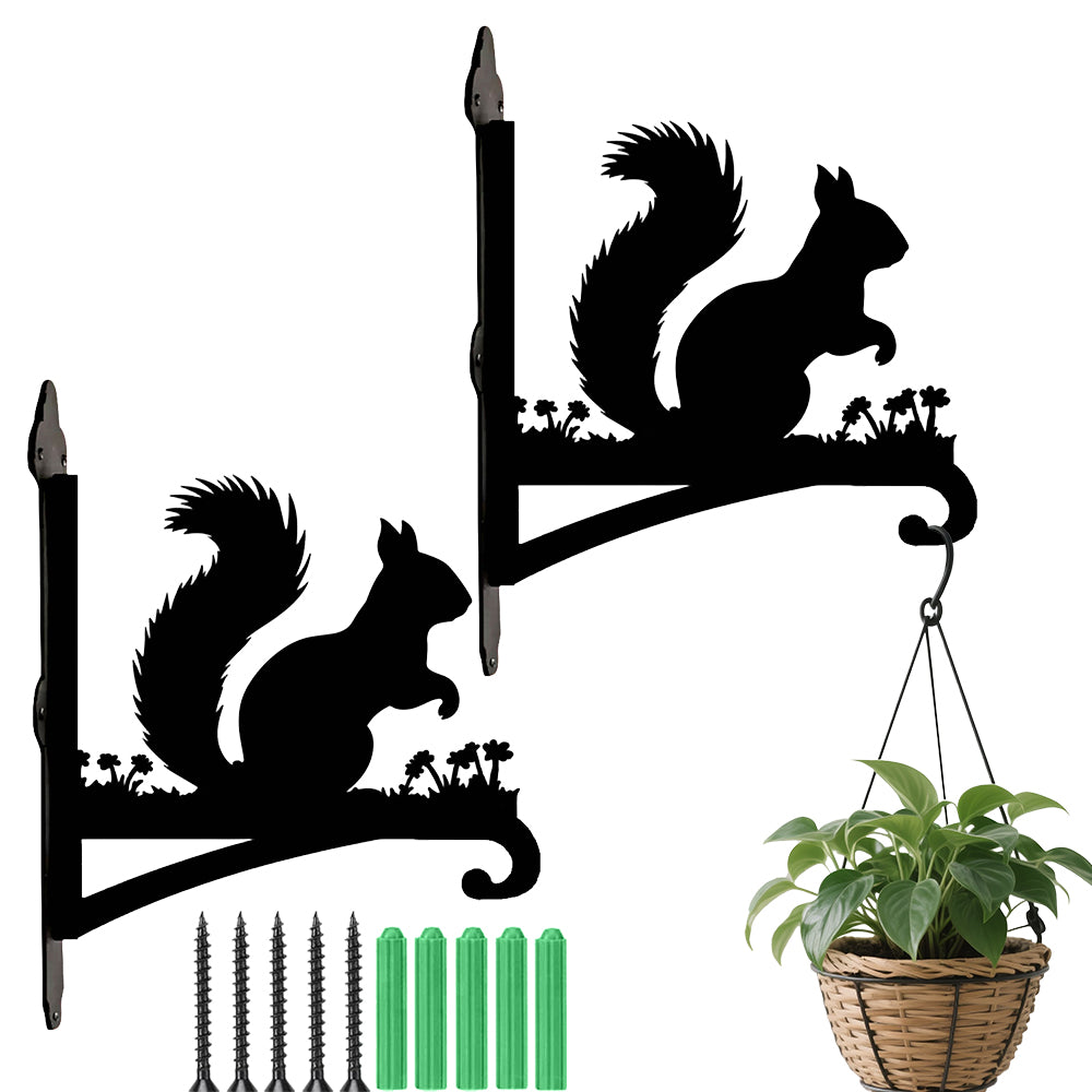 Squirrel metal hanging basket bracket mounted on outdoor wall for plant decoration