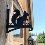 Squirrel metal hanging basket bracket mounted on outdoor wall for plant decoration