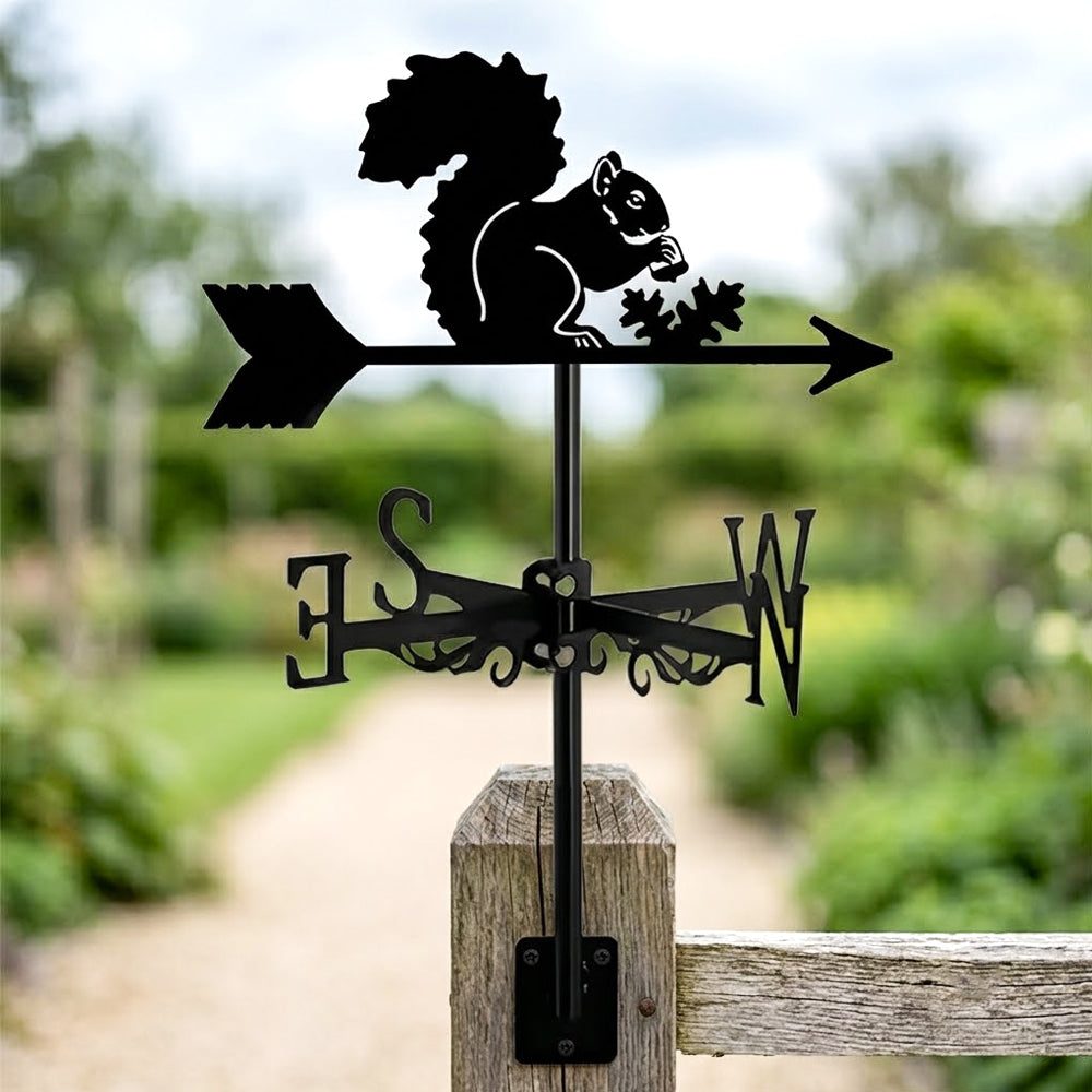 Squirrel metal weather vane with directional arrows and mounting rod, outdoor roof and garden decoration