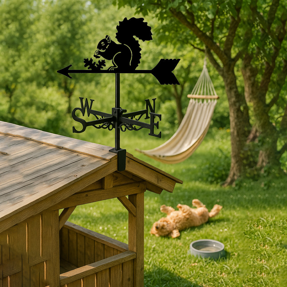 Squirrel metal weather vane with directional arrows and mounting rod, outdoor roof and garden decoration
