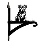 Staffordshire bull terrier metal hanging basket bracket mounted on outdoor wall for plant decoration