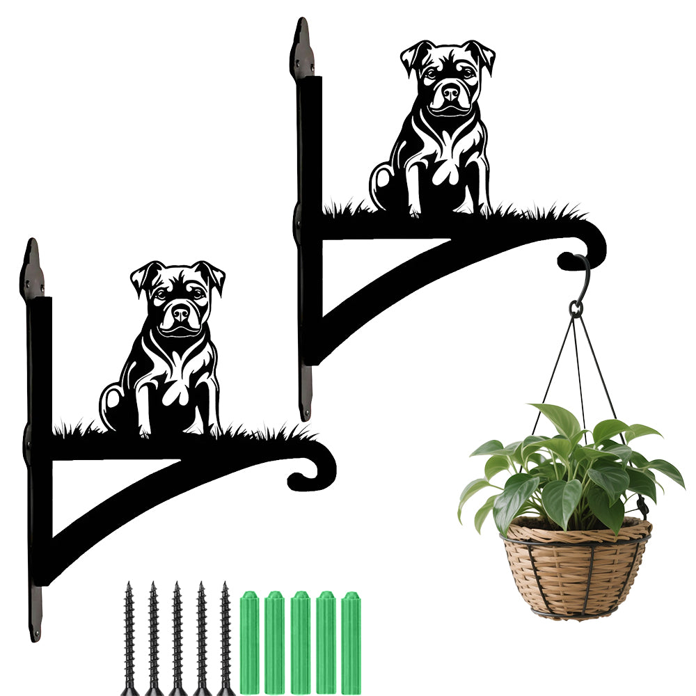 Staffordshire bull terrier metal hanging basket bracket mounted on outdoor wall for plant decoration