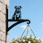 Staffordshire bull terrier metal hanging basket bracket mounted on outdoor wall for plant decoration