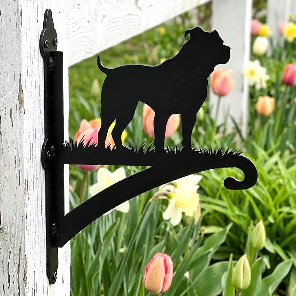 Staffordshire bull terrier metal hanging basket bracket mounted on outdoor wall for plant decoration