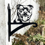 Staffordshire bull terrier metal hanging basket bracket mounted on outdoor wall for plant decoration
