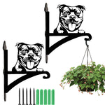 Staffordshire bull terrier metal hanging basket bracket mounted on outdoor wall for plant decoration