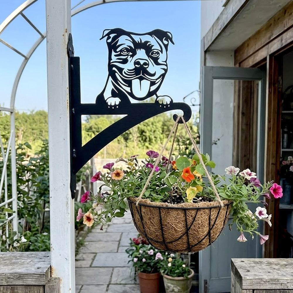 Staffordshire bull terrier metal hanging basket bracket mounted on outdoor wall for plant decoration
