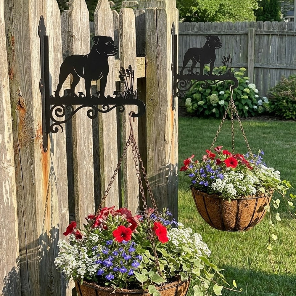Staffordshire bull terrier metal hanging basket bracket mounted on outdoor wall for plant decoration