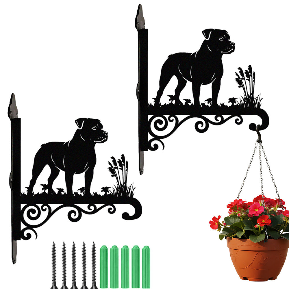 Staffordshire bull terrier metal hanging basket bracket mounted on outdoor wall for plant decoration