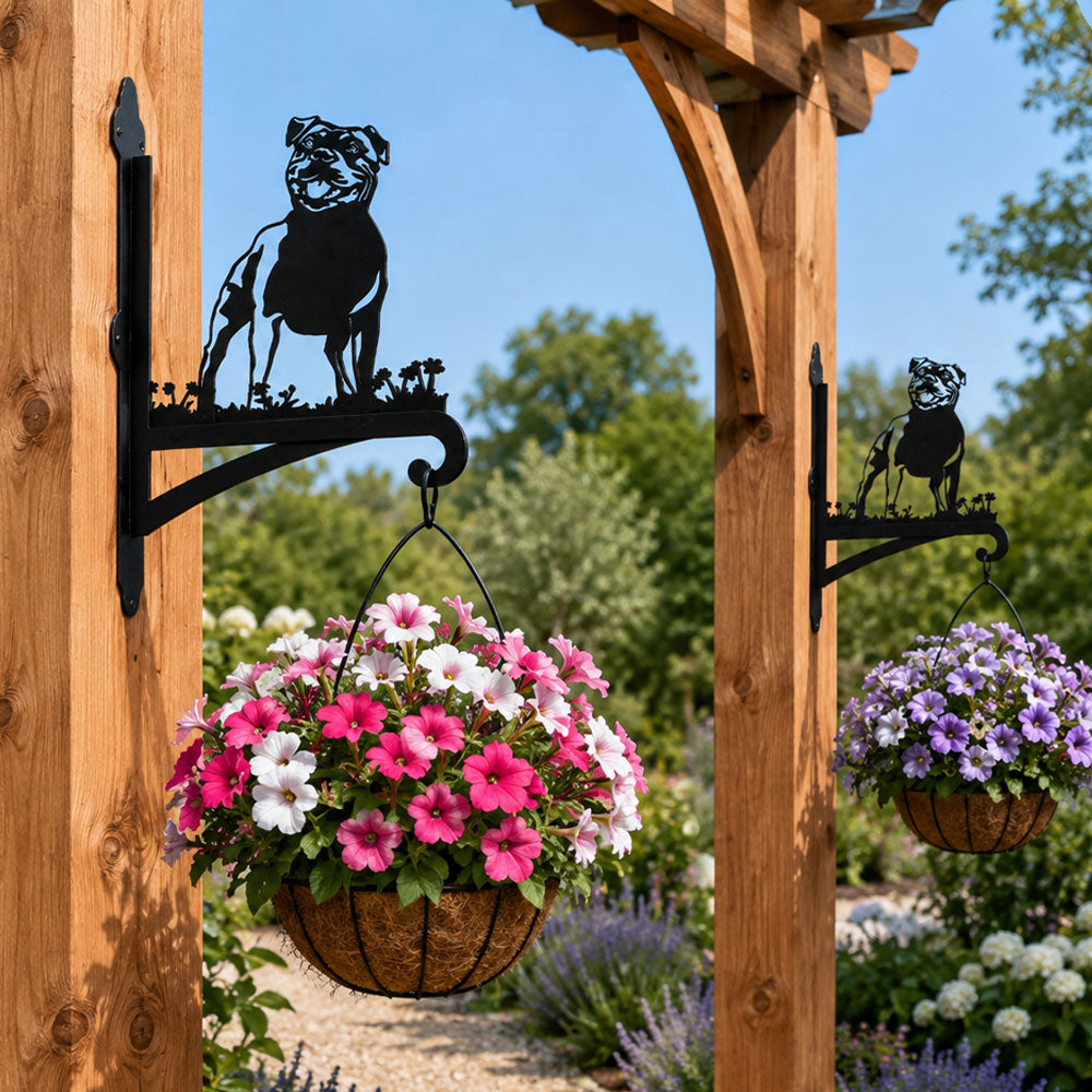 Staffordshire bull terrier metal hanging basket bracket mounted on outdoor wall for plant decoration