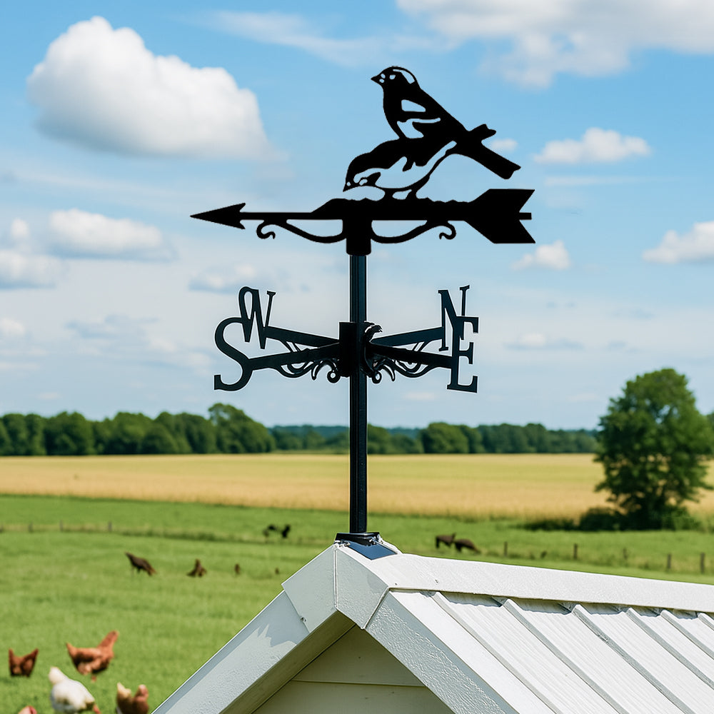Two birds on branch metal weather vane with directional arrows and mounting rod, outdoor roof and garden decoration