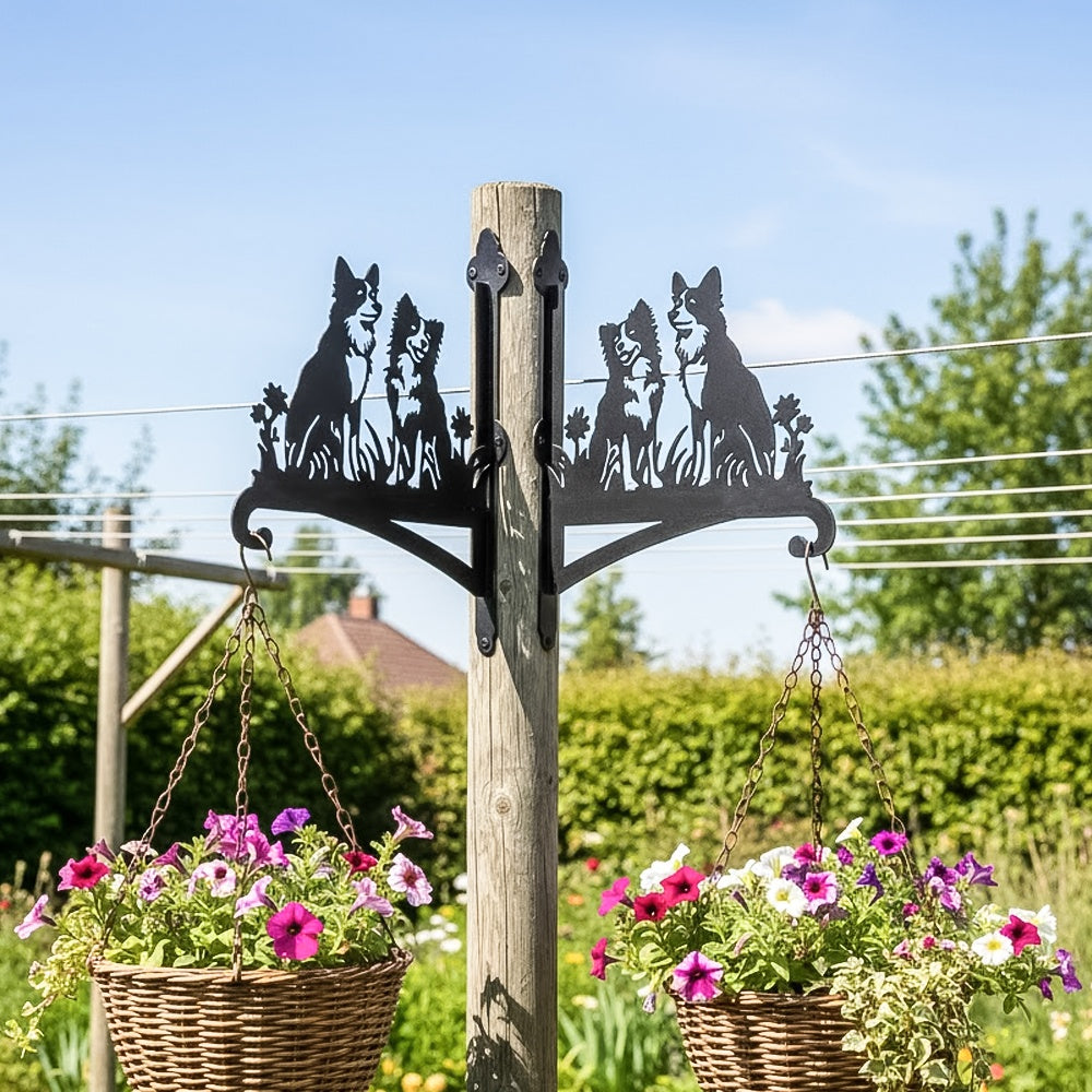 Two border collies metal hanging basket bracket mounted on outdoor wall for plant decoration