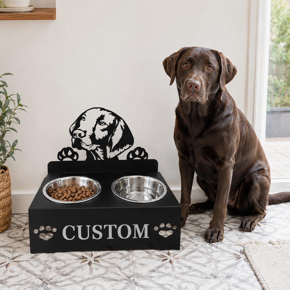 Personalized vizsla metal dog bowl stand with custom name cutout and two removable feeding bowls
