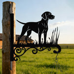 Vizsla metal hanging basket bracket mounted on outdoor wall for plant decoration