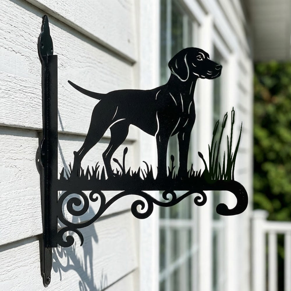 Vizsla metal hanging basket bracket mounted on outdoor wall for plant decoration