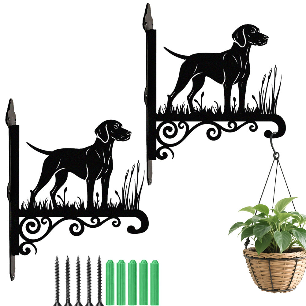 Vizsla metal hanging basket bracket mounted on outdoor wall for plant decoration
