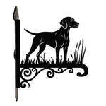 Vizsla metal hanging basket bracket mounted on outdoor wall for plant decoration