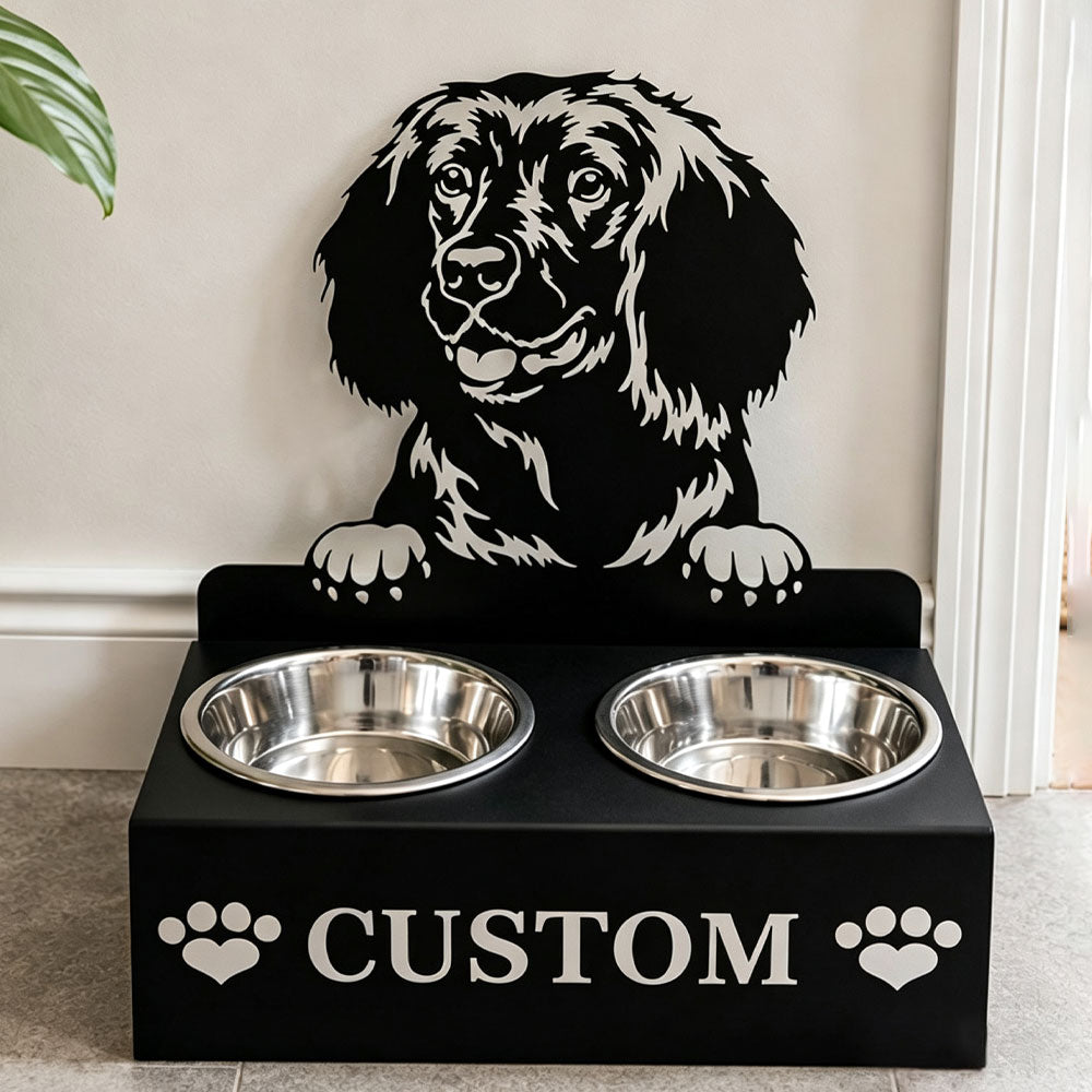 Personalized water spaniel metal dog bowl stand with custom name cutout and two removable feeding bowls