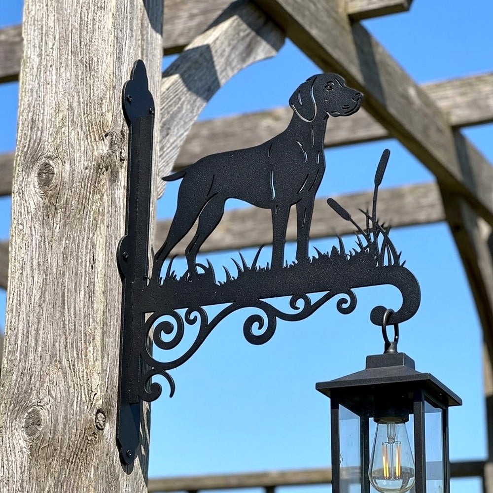 Weimaraner metal hanging basket bracket mounted on outdoor wall for plant decoration