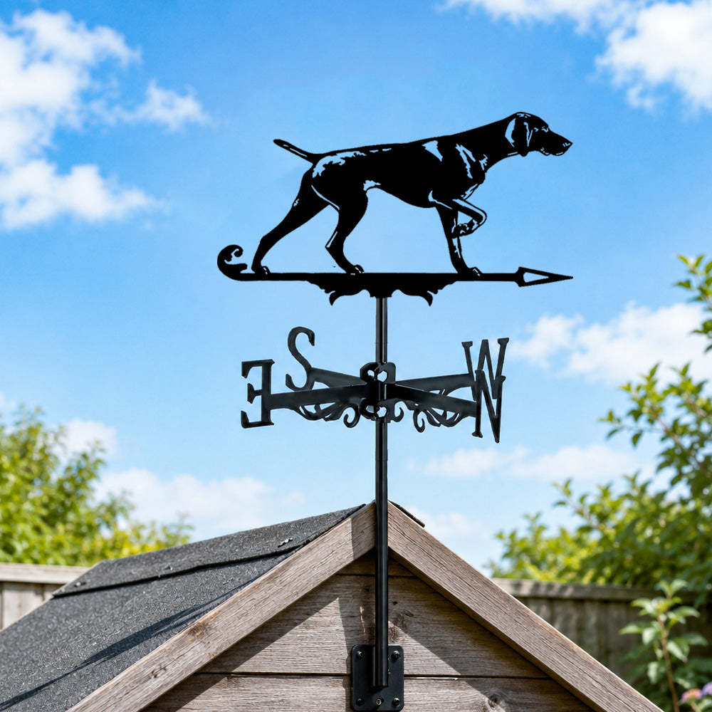 Weimaraner metal weather vane with directional arrows and mounting rod, outdoor roof and garden decoration