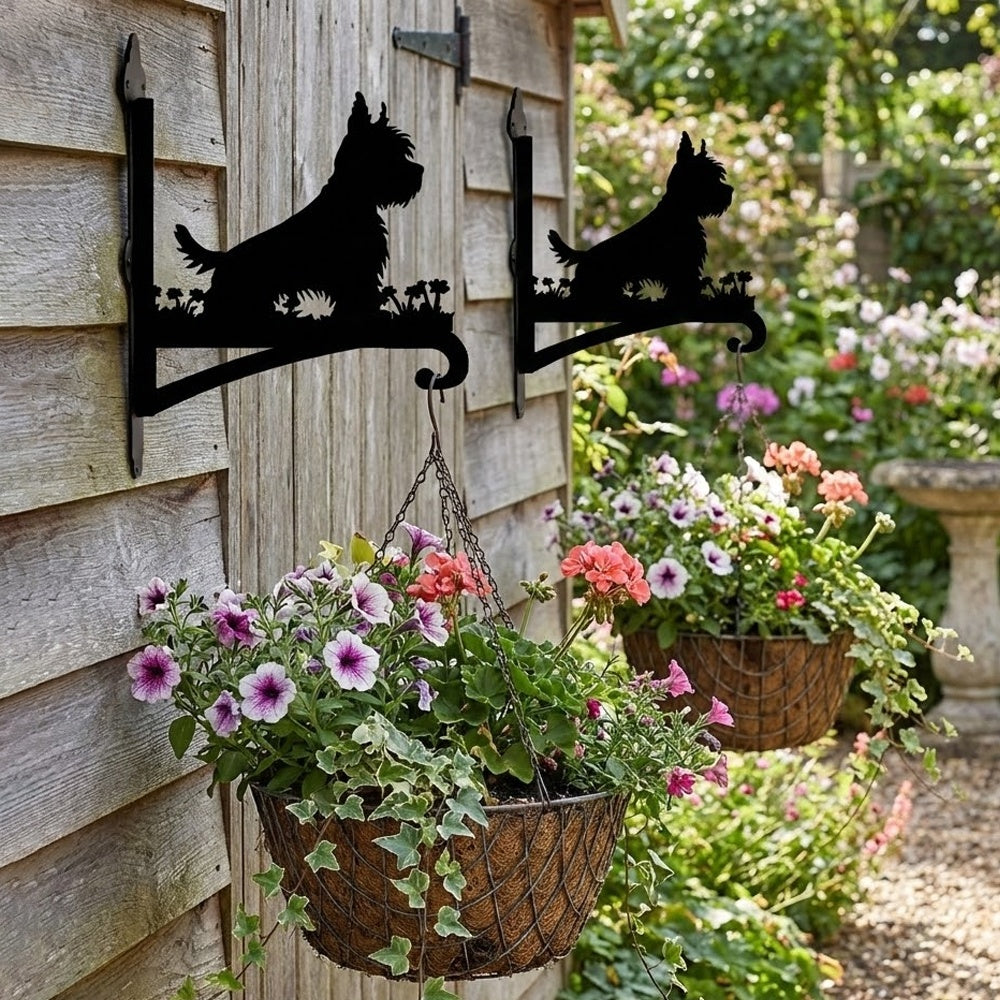 West highland white terrier metal hanging basket bracket mounted on outdoor wall for plant decoration