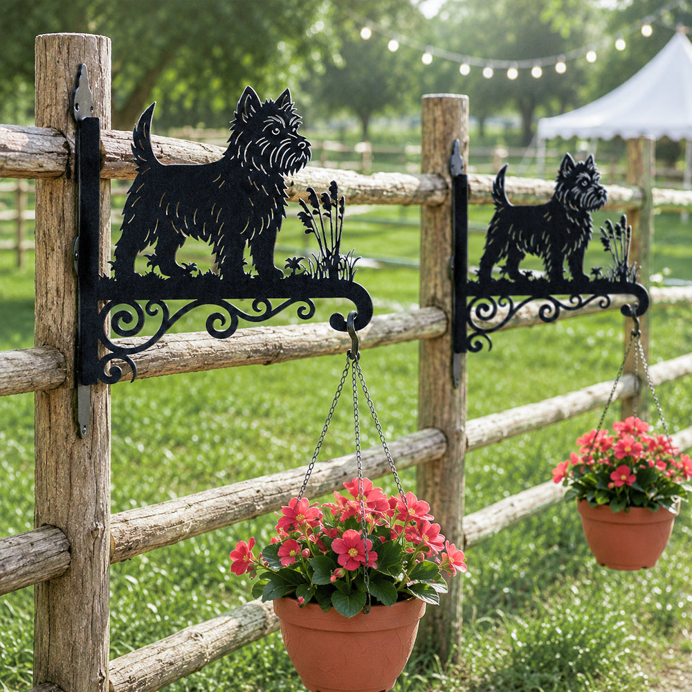 West highland white terrier metal hanging basket bracket mounted on outdoor wall for plant decoration